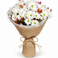 Букет цветов из:  Хризантемы #REPLACE_PRED# Вытегре