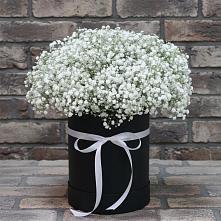 Цветочная композиция из Гипсофила в шляпной коробке #REPLACE_PRED# Вытегре